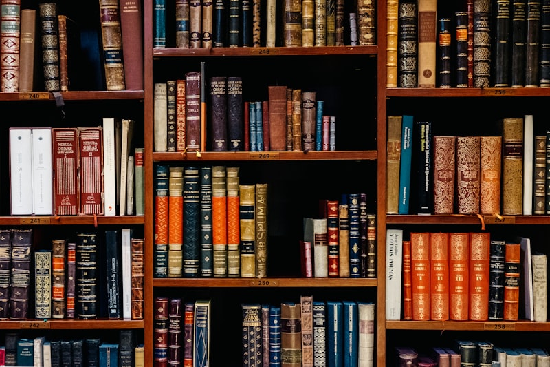 Emprunter des Ebooks en Bibliothèque : Le Guide Complet